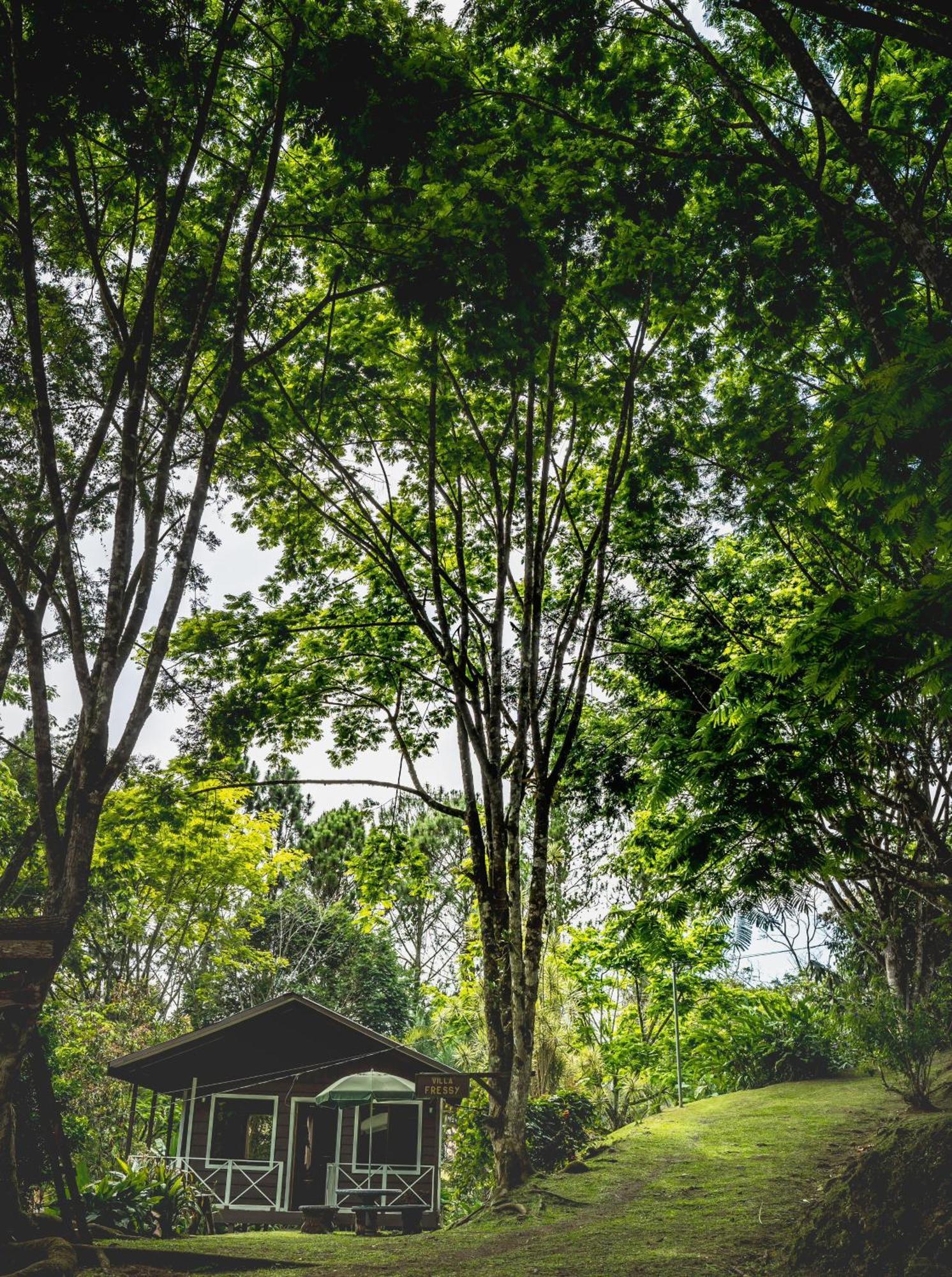 Hospedaje La Naciente Turrialba Extérieur photo